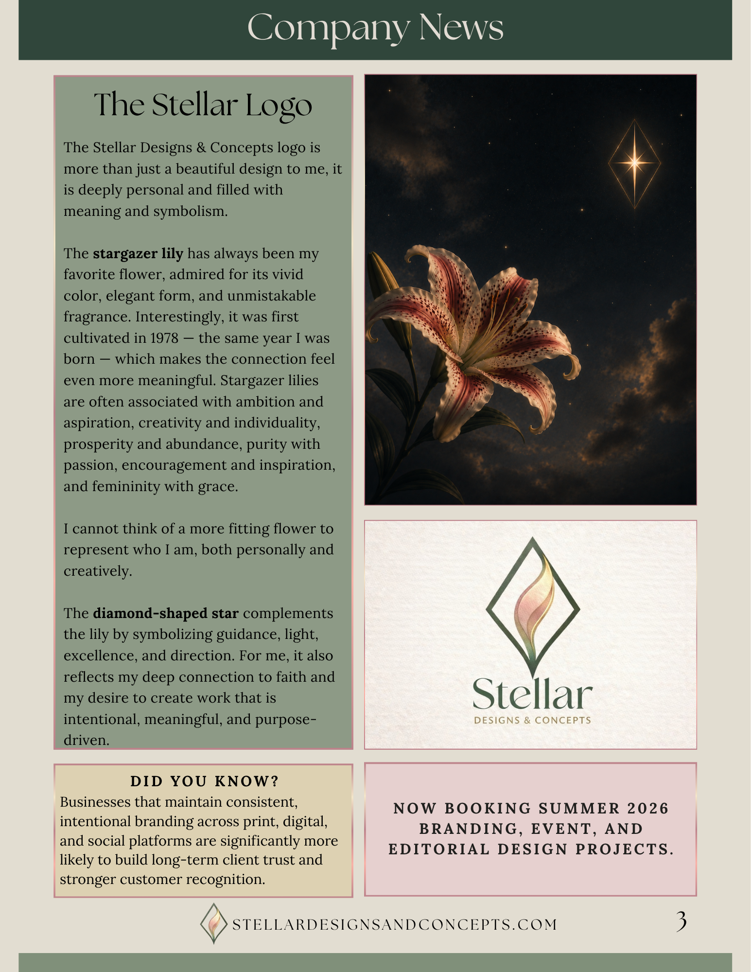 "In the Details" Newsletter for Stellar Designs & Concepts - preview